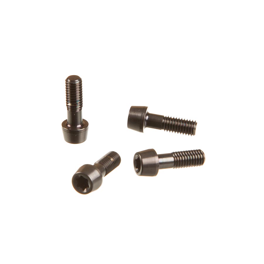 SRAM SL Speed B1 Faceplate/Bolt Kit - Thumbnail 2