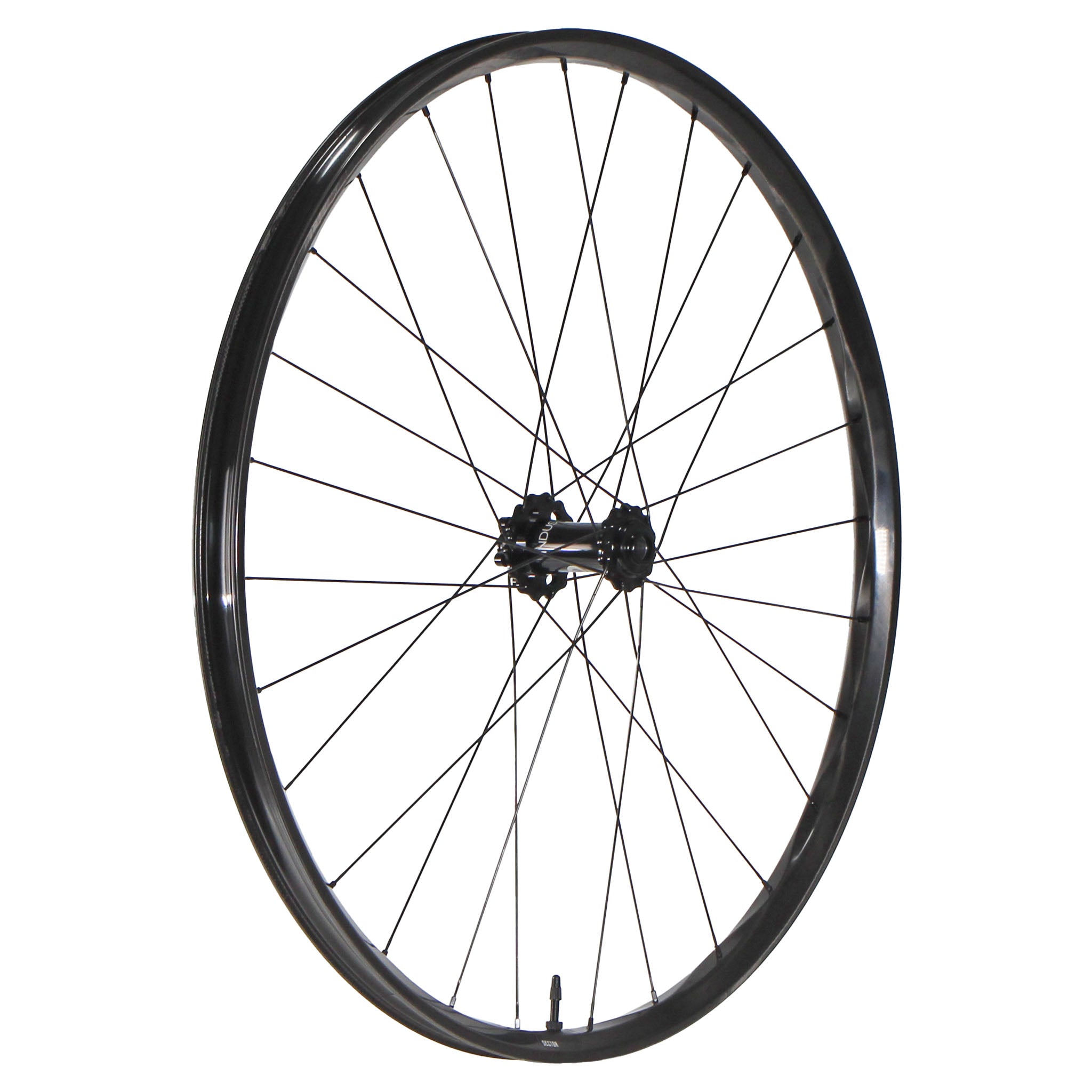 We Are One Sector 29" Front Wheel 15x110 Black