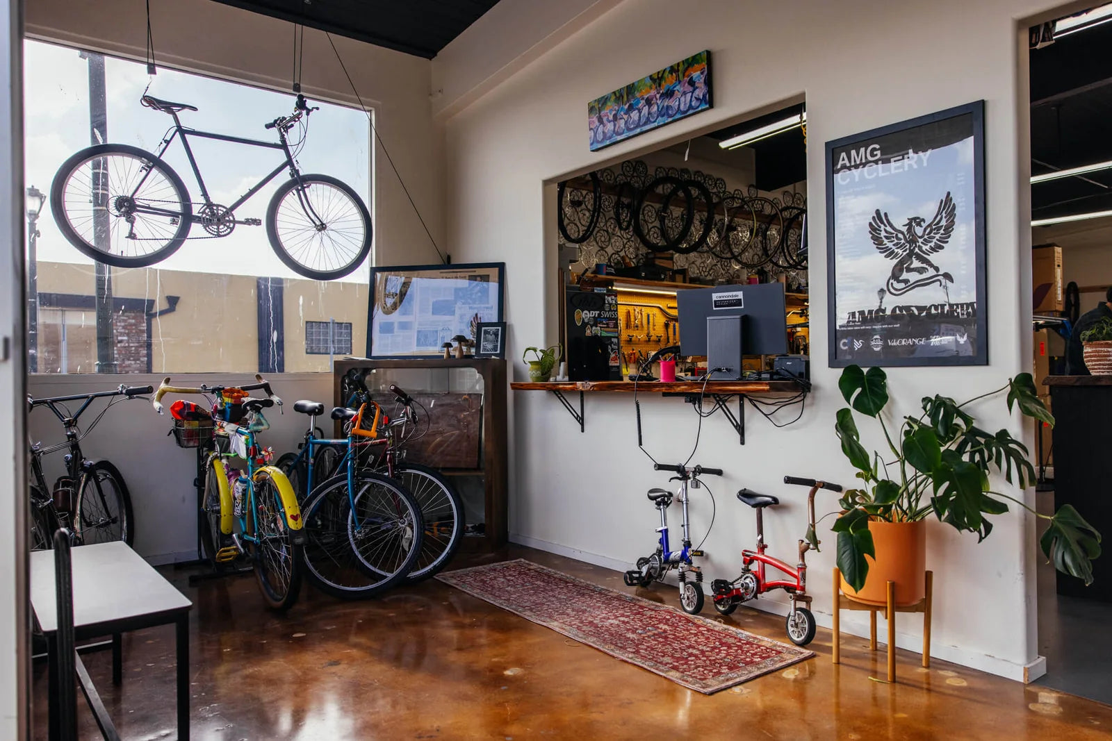 Sunlit bicycles, plants and framed posters inside AMG Cyclery.