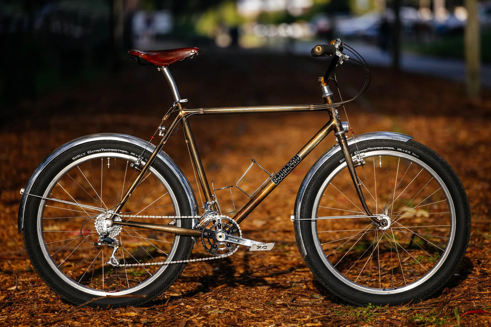 A bronze-colored bicycle with silver fenders, wide tires and a brown saddle stands on fallen leaves.
